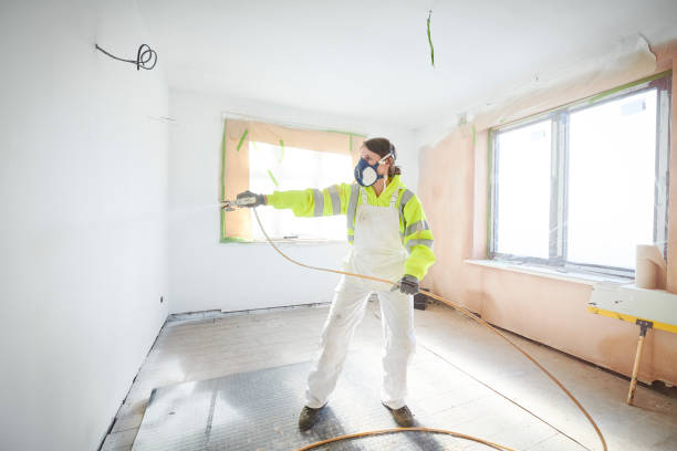 Best Black Mold Removal  in Inola, OK