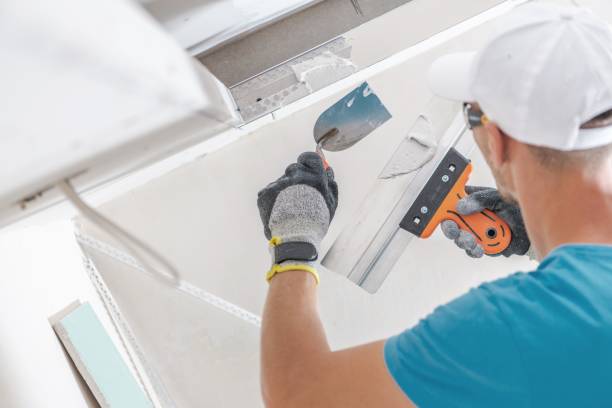 Best Attic Mold Removal  in Inola, OK